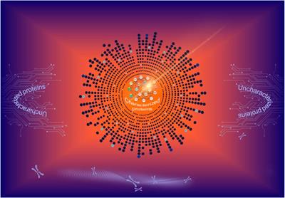 Editorial: Characterizing the uncharacterized human proteins